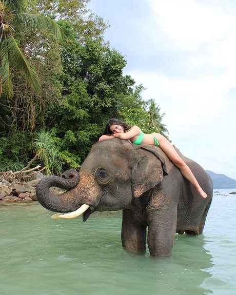 巨乳 パイズリ OnlyFans 美しい裸 ギャラリー