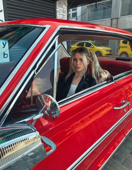 Vikneska かわいいスター 写真