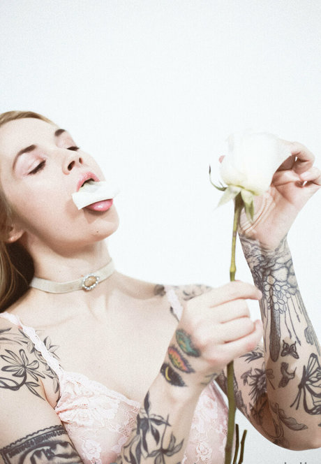 Sarahvandella 無料スター ギャラリー