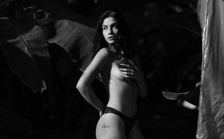 Adi Tal ポルノスター 写真