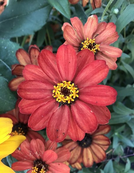 日本の女子高生OnlyFans ポルノ 画像