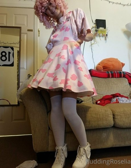 buddingroselia 独占モデル 写真