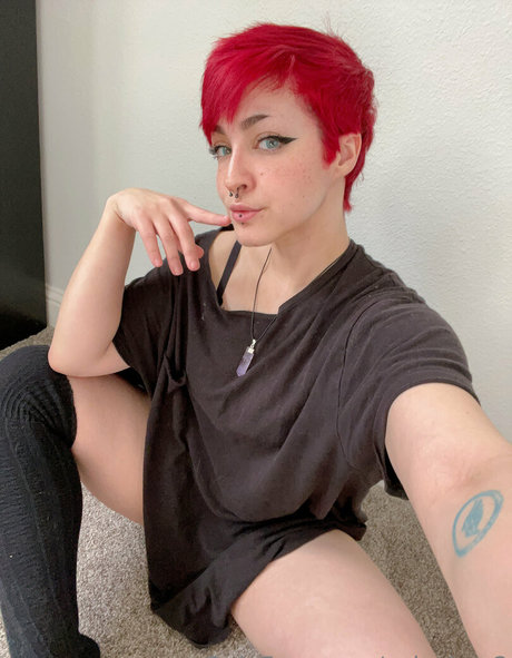 colechyv2 Profilbild