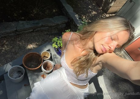 ポーグ xxx オンリーファンズ アダルト ギャラリー