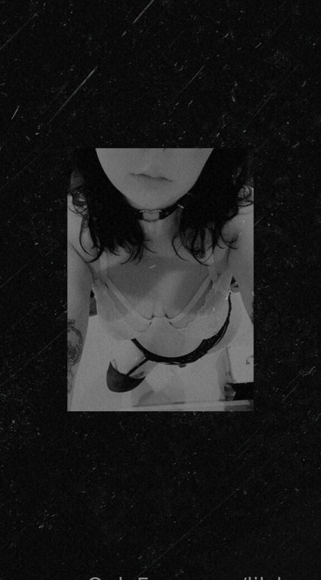 お尻オンリーファン パーフェクト 写真