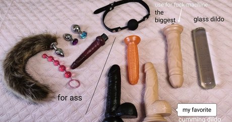 ashera cat HDモデル 画像