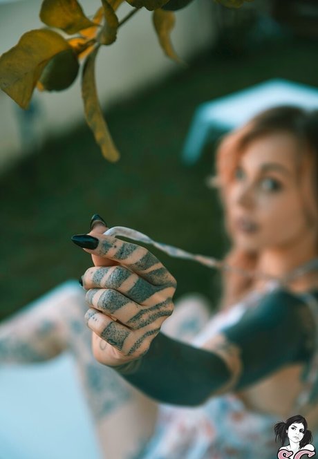 Ninaq 素敵なポルノスター 画像