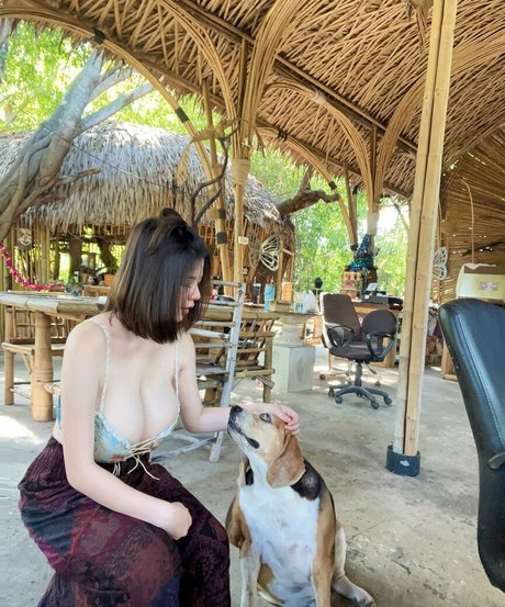 swansin 26 ポルノモデル 写真