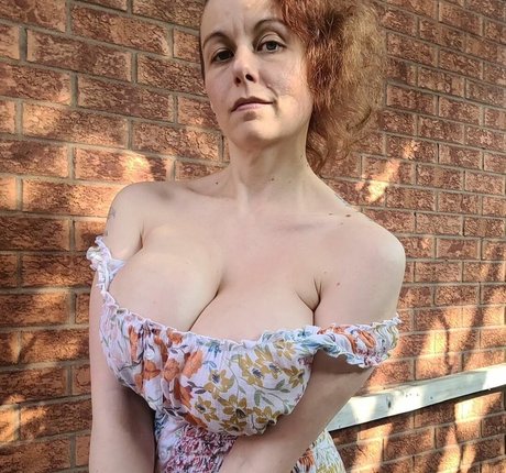 bayesianash HDスター 写真