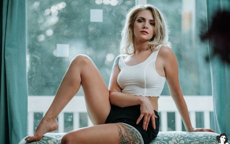 Teeth Sg アートモデル 画像