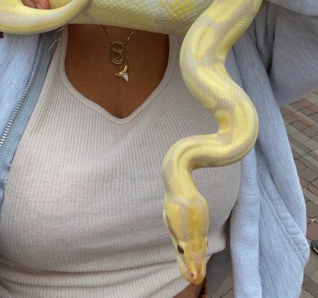 アンバー・オンリーファンズ 無料 画像