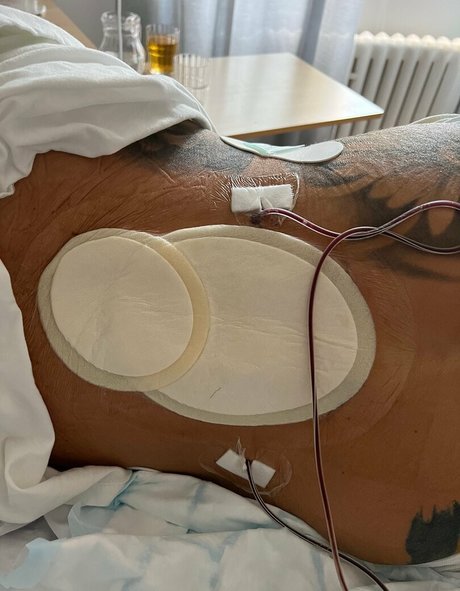 alpheratz 高品質モデル アーカイブ