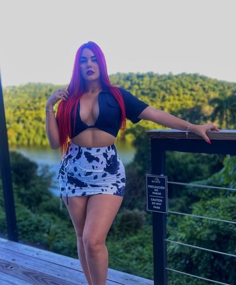 dashysyren HDモデル 写真