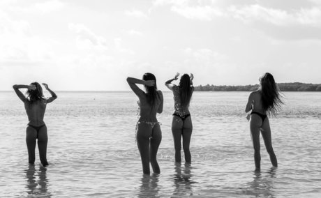 ブッシュ・オンリーファンズ アートxxx 写真