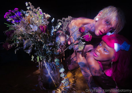 lowbotomy 独占スター 画像