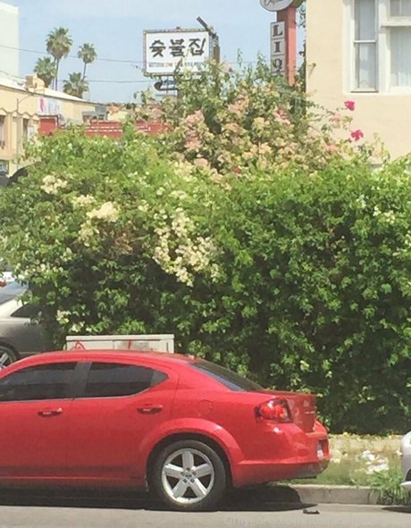 若い黒人女性オンリーファンズ えろた 写真