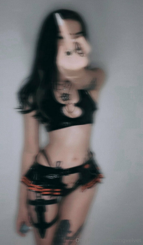 omgvelvet アダルトスター 画像