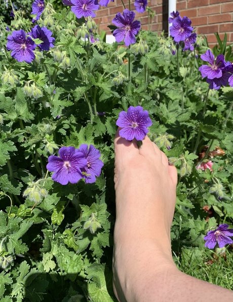 足コキオンリーファンズ xxx 画像