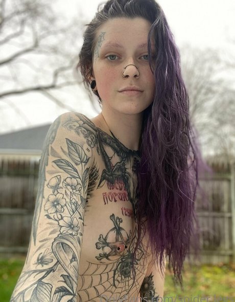 spider legs xxxスター 写真