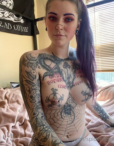 spider legs 無料モデル 写真