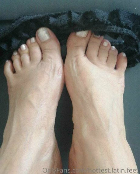 hottest latin アートポルノスター ギャラリー