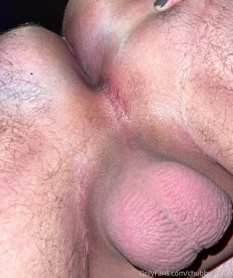 chubbysucker アートスター ギャラリー