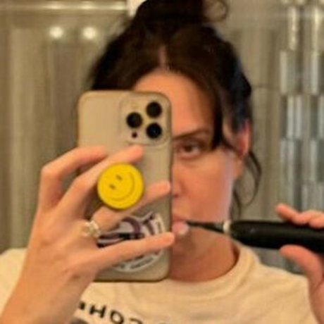 Brittany Rose Bush かわいいスター 画像