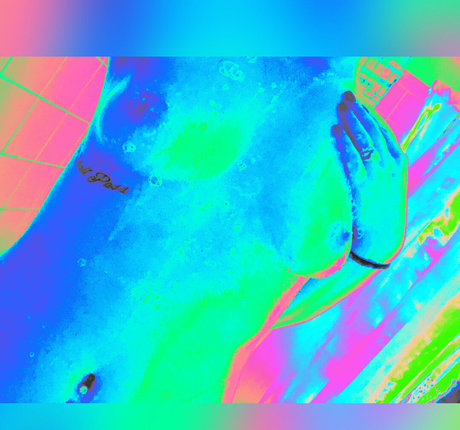 adamandlena ポルノスター 高品質 写真