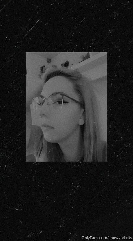 kitty felicity ポルノスター 素敵 アーカイブ