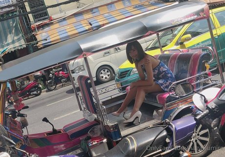 nagaisumire ポルノモデル 写真