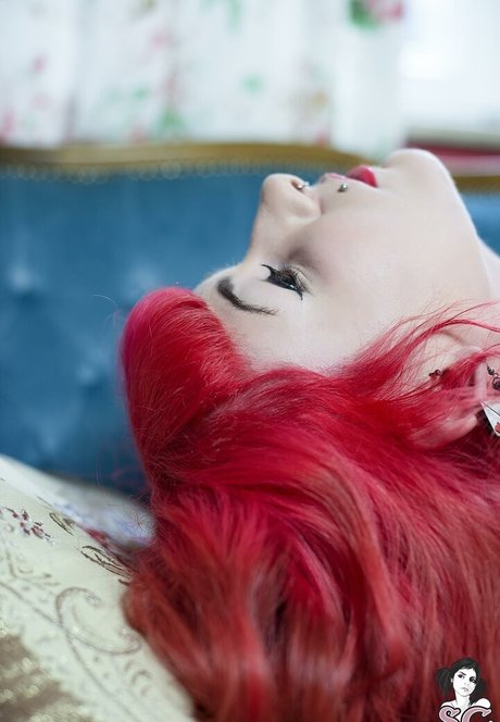 ナチュラルポーグオンリーファン ホット 画像