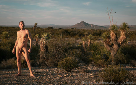 peaksandcheeks2 セックスポルノスター 画像