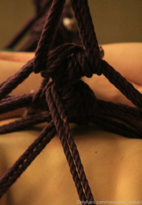 trenzalore shibari セクシーモデル アーカイブ