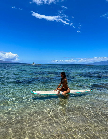 lylastonefree アートスター 写真