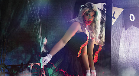 Shelynna 完璧なスター アーカイブ