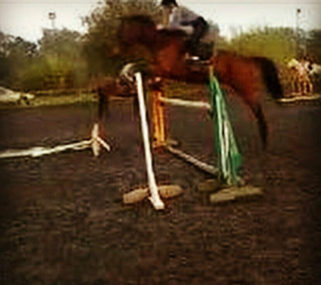 courtsxldn セックスモデル アーカイブ