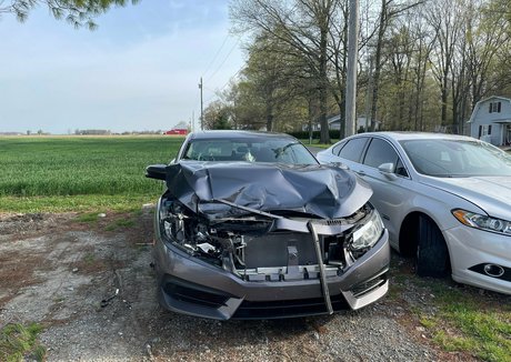 reaghanblackhart 素敵なスター 写真