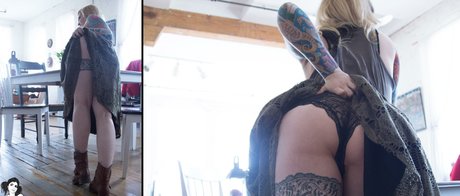 Vesta SG 完璧なスター 画像