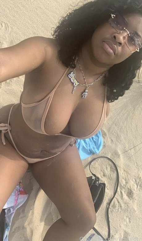 limitedfew アダルトスター 画像