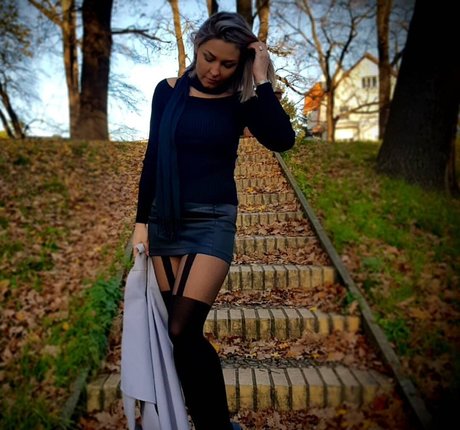 ベラルーシのファンのみ 無料 画像