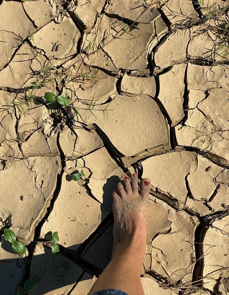 madam muriel ヌードモデル アーカイブ