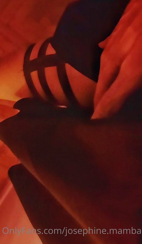 phinemamba HDモデル 画像