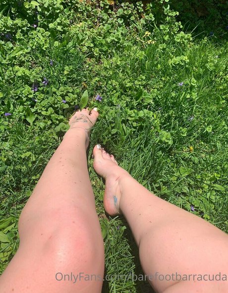 barefootbarracuda セクシー女優 写真