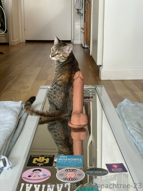 騎乗位熟女OnlyFans 美しい 写真