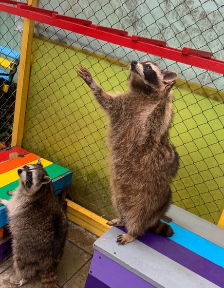 skyrror 最高のモデル 写真