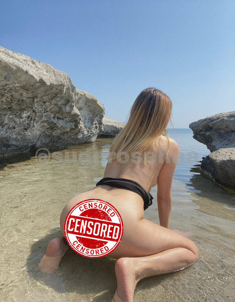 suderoselizaa HDモデル アーカイブ