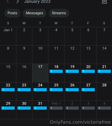 victoria sfw HDモデル 写真