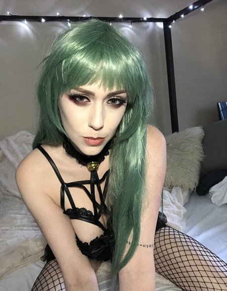 camghoul アートスター ギャラリー