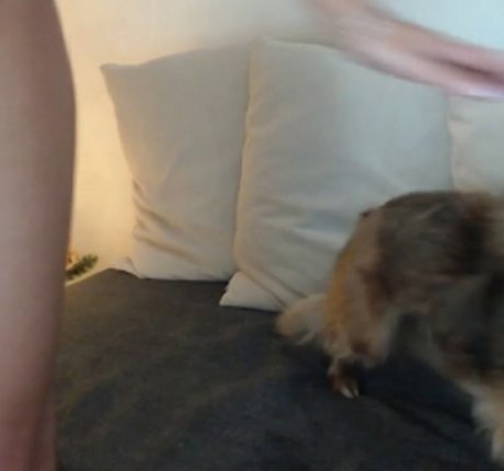 自然な赤毛のオンリーファンズ 無料エロ 写真