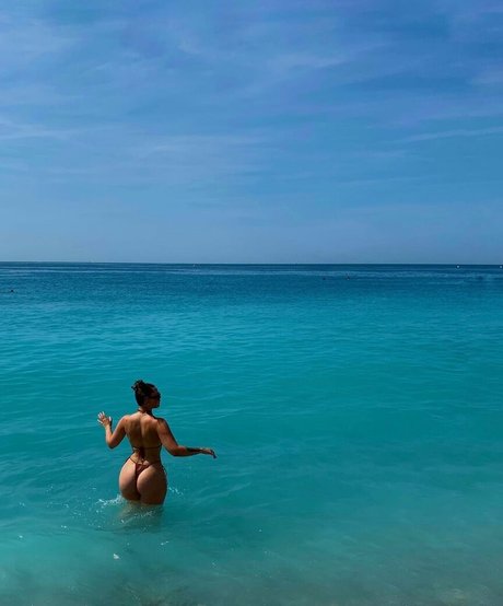 Daisy97096 アートスター 写真